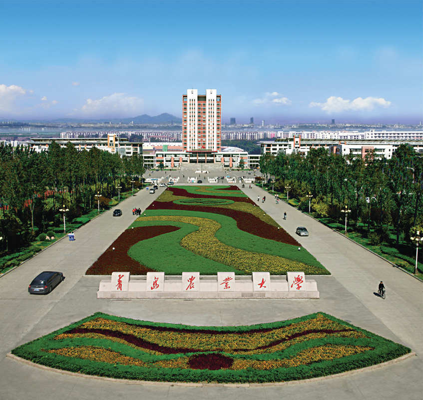 Qingdao University Of Technology