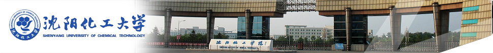 Shenyang University of Chemical Technology
