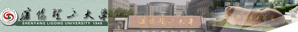 Shenyang Ligong University