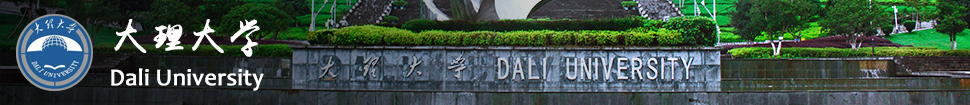 Dali University